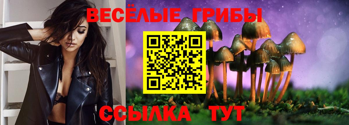 Калач-на-Дону  Галлюциногенные грибы ЛСД  Вход с VPN 